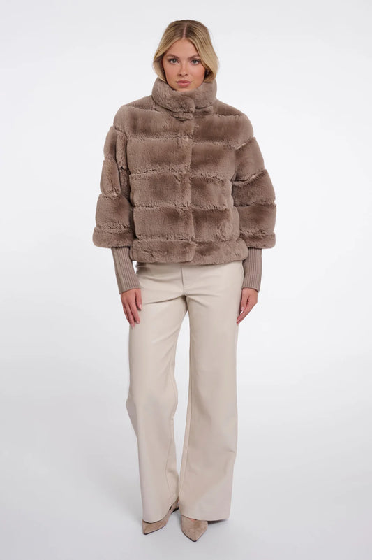 Manteau Feline